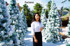 乾洗髮 乾洗頭 含酒精